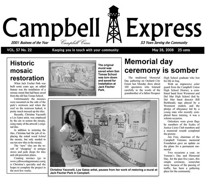 newsp article